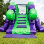 picture of the stair up Dudley children slides back