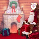 Meet and Greet Grotto interior with Santa