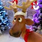 Christmas Reindeer - close up