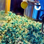 Blue Popcorn