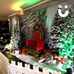 Winter Wonderland Meet and greet in beautiful lighting