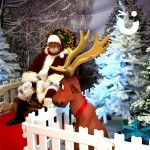 Winter Wonderland Meet and greet reindeer and Santa