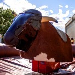 Close up shot of the Rodeo Bull Hire in the sunshine