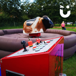 Rodeo Bull Machine 30