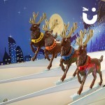 Four racing reindeer from our Roll A Ball Reindeer Hire