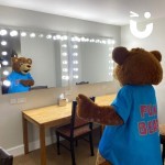 Fun Bear Hire in a dressing room ready to take stage!