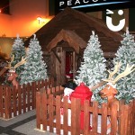 Santa's Wooden Grotto 4