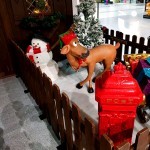 Close up of a Reindeer feeding outside Santa's Wooden Grotto