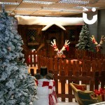 Santa's Wooden Grotto during an indoor Event