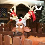 Close up of Santa's Reindeer outside the Santa's Wooden Grotto