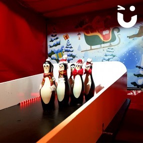 Christmas Penguin Skittles Stall Hire