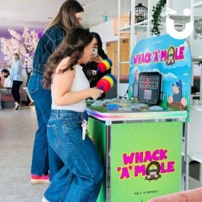 Digital Whack A Mole Hire