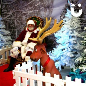 Santa's Winter Wonderland Meet and Greet Hire
