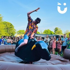 Rodeo Bull Hire