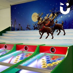 Roll A Ball Reindeer Racing Hire