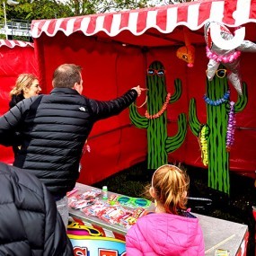 Cactus Ring Toss Stall Hire
