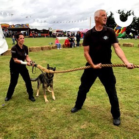 Tug of War Team Building