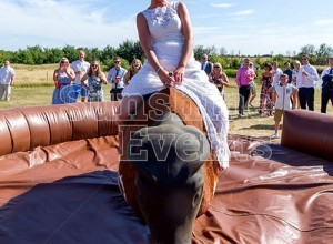 BLOG - Winning Bride Rides Rodeo Bull