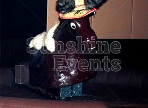 GALLERY - Rodeos
