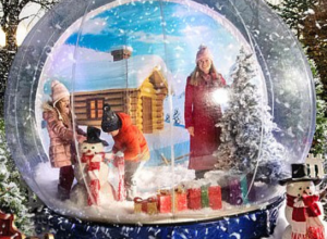 BLOG - The Giant Snow Globe and the 5 Star Review