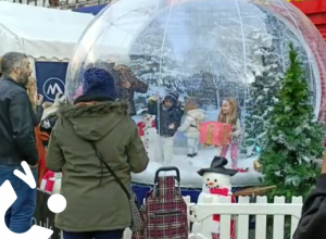 CASE STUDY - Stepping into Christmas for Manak Solicitors