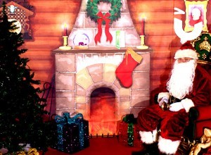 GALLERY - Christmas Entertainment 