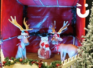 GALLERY - Christmas Entertainment 