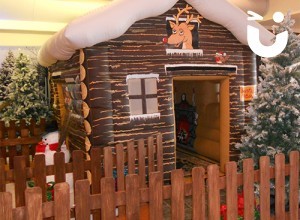GALLERY - Christmas Entertainment 