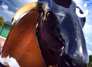 GALLERY - Rodeo Rides Entertainment