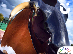 GALLERY - Rodeo Rides Entertainment