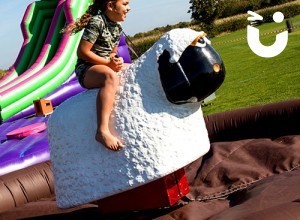 BLOG - 10 Top Tips for Fun Days