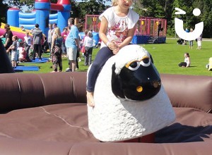 GALLERY - Rodeo Entertainment