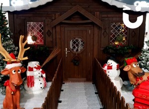 CASE STUDY - Supermarket's Magical Christmas Grotto