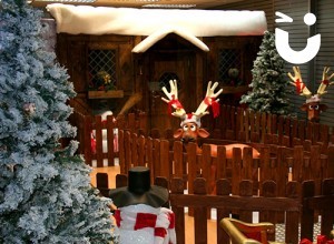 GALLERY - Christmas Entertainment