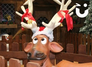 Case Study - Christmas with NISA