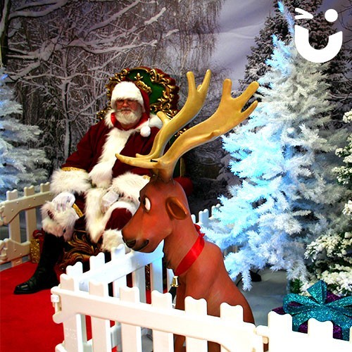 Santa's Winter Wonderland Meet and Greet Hire