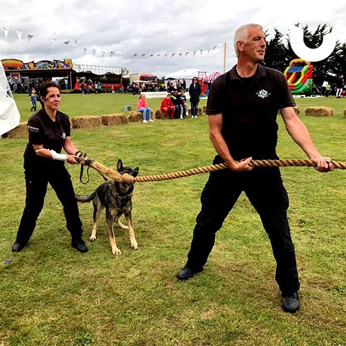 A team and their dog get ready to start an epic battle of Tug of War amidst a company family fun day event