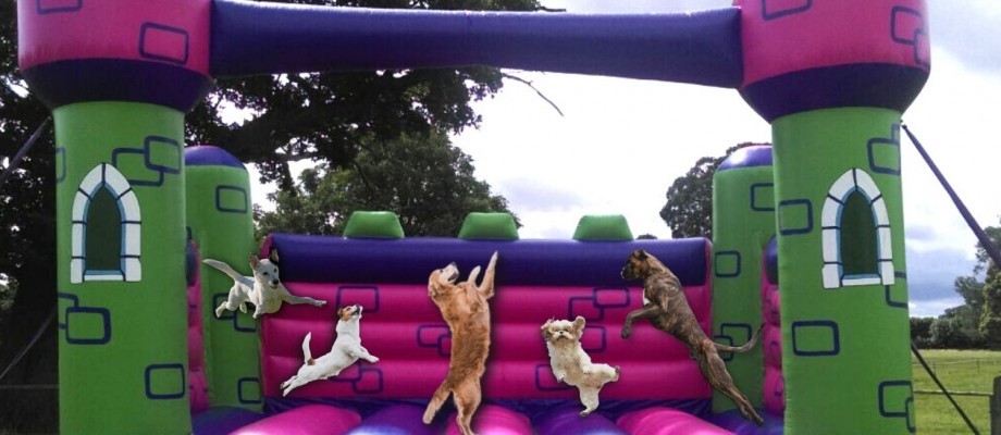Family Fun Day for Man's Best Friend