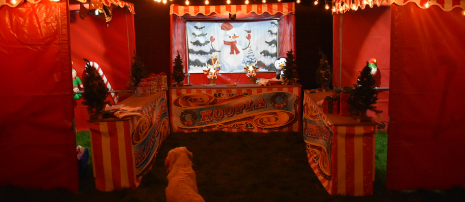 A Christmas Proposal | The Fun Experts®