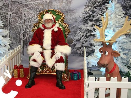 Winter Wonderland MnG 3