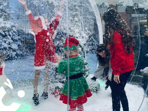 Giant Snow Globe Image 2